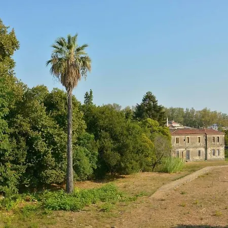 Mon Repo Palace Apartment Corfu  Exterior photo