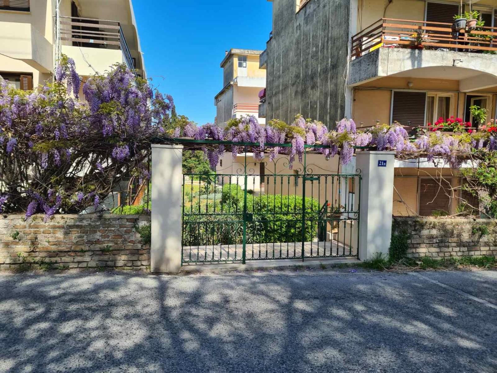 Mon Repo Palace * Corfu (city)